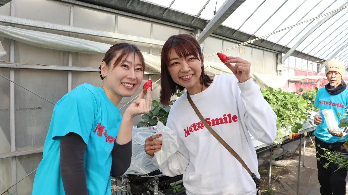 MotoSmile